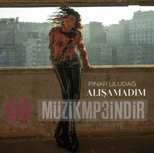 Pınar Uludağ