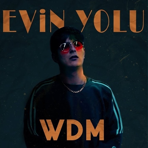 WDM