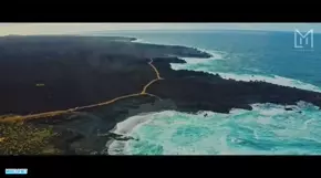 Alan Walker - Lifeline