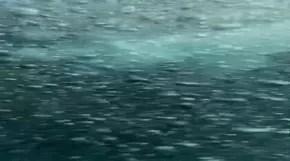 Ed Sheeran - Camera