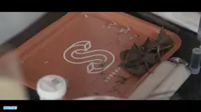 Lil Wayne - Something Different