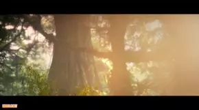 Anaconda